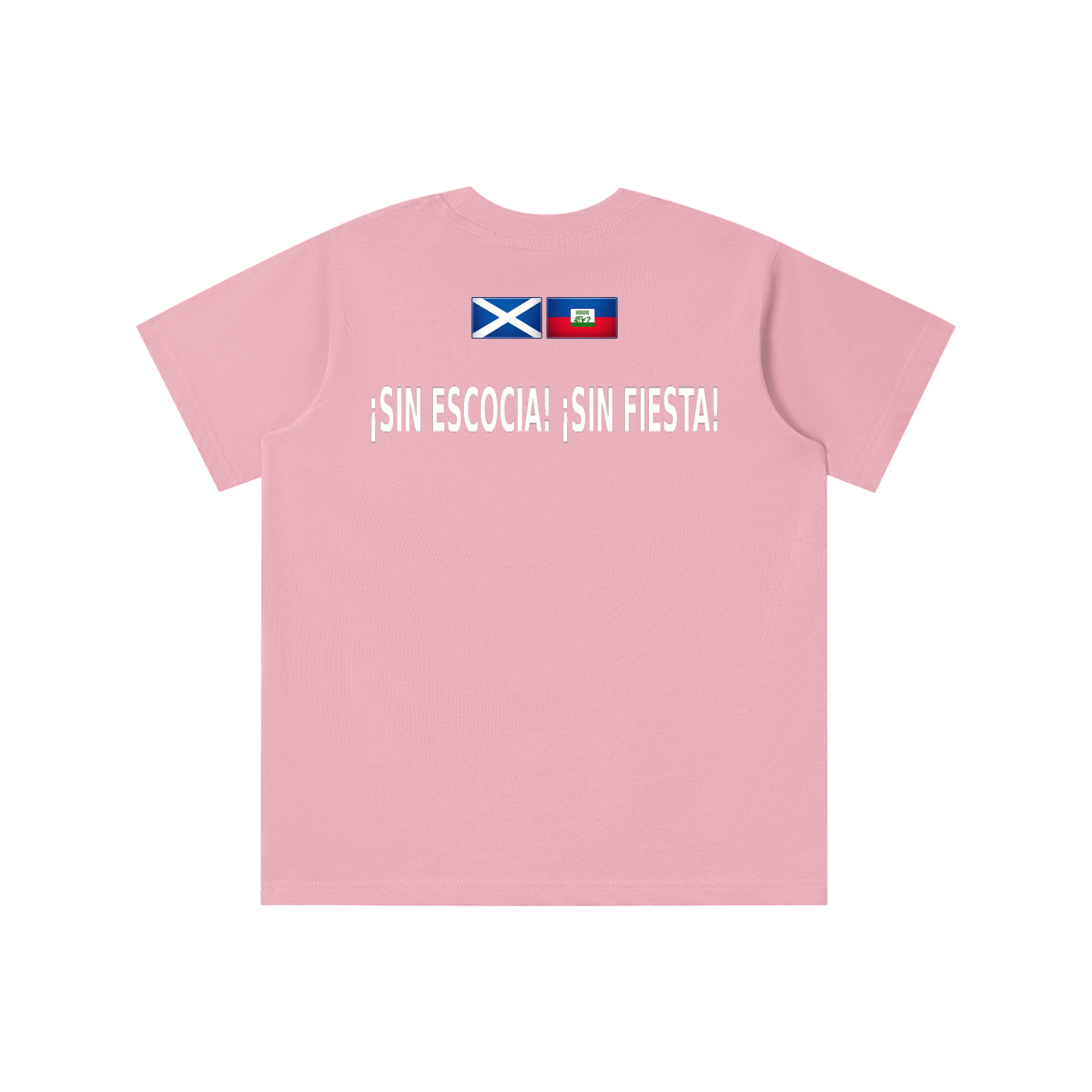 SCOTLAND V HAITI - NO SCOTLAND NO PARTY