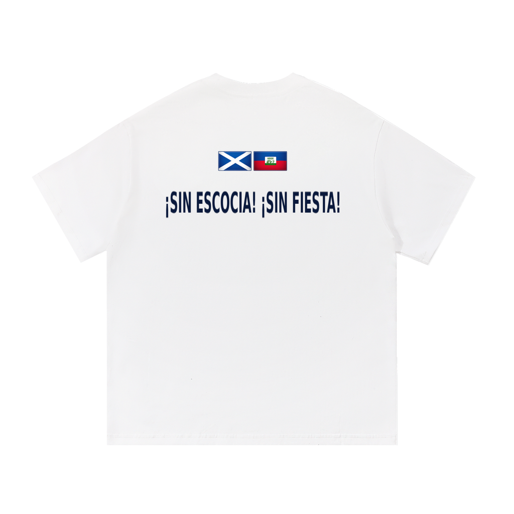 SCOTLAND V HAITI - NO SCOTLAND NO PARTY