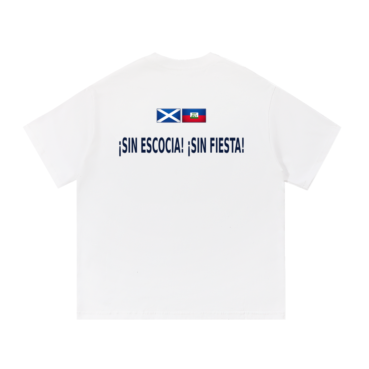 SCOTLAND V HAITI - NO SCOTLAND NO PARTY