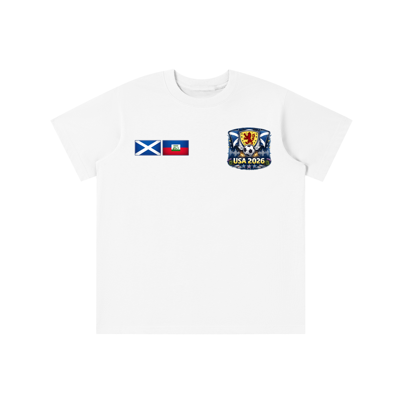 SCOTLAND V HAITI - NO SCOTLAND NO PARTY