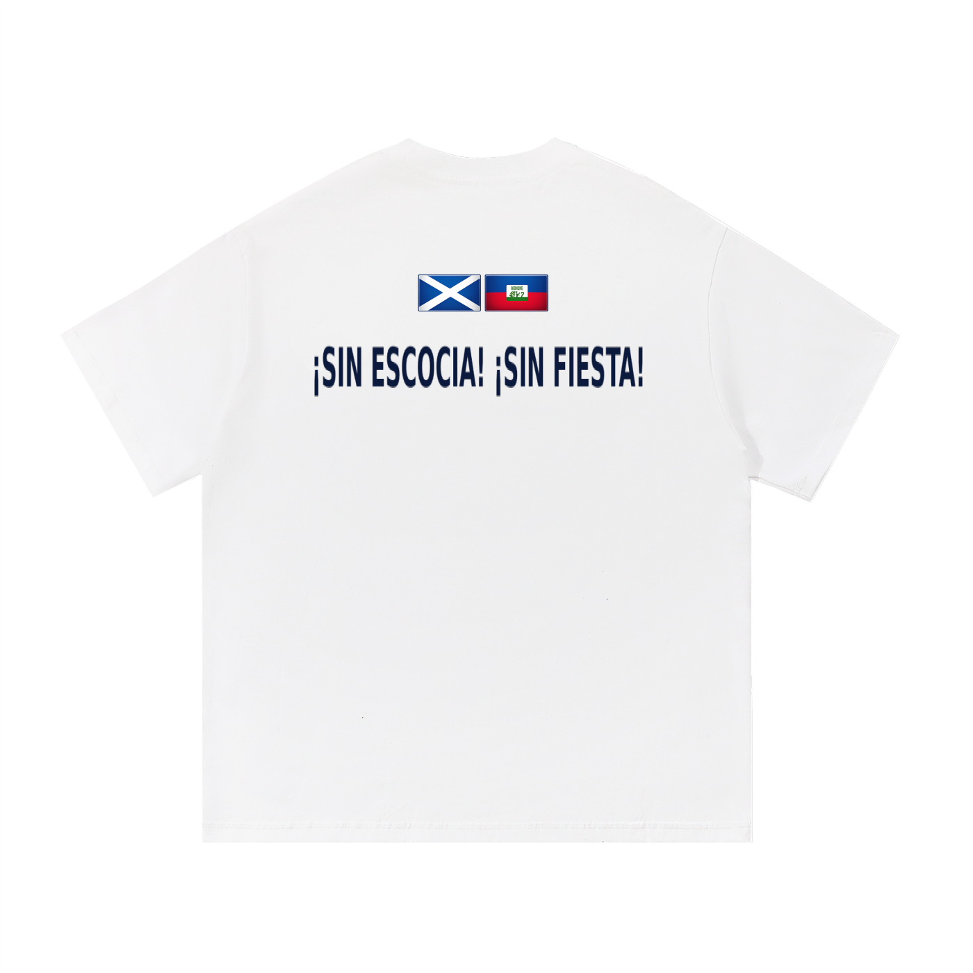 SCOTLAND V HAITI - NO SCOTLAND NO PARTY